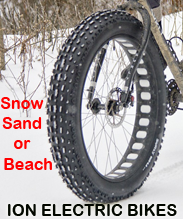 ION Electric Bikes