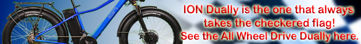 ION Electric Bikes