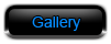 Photo Gallery